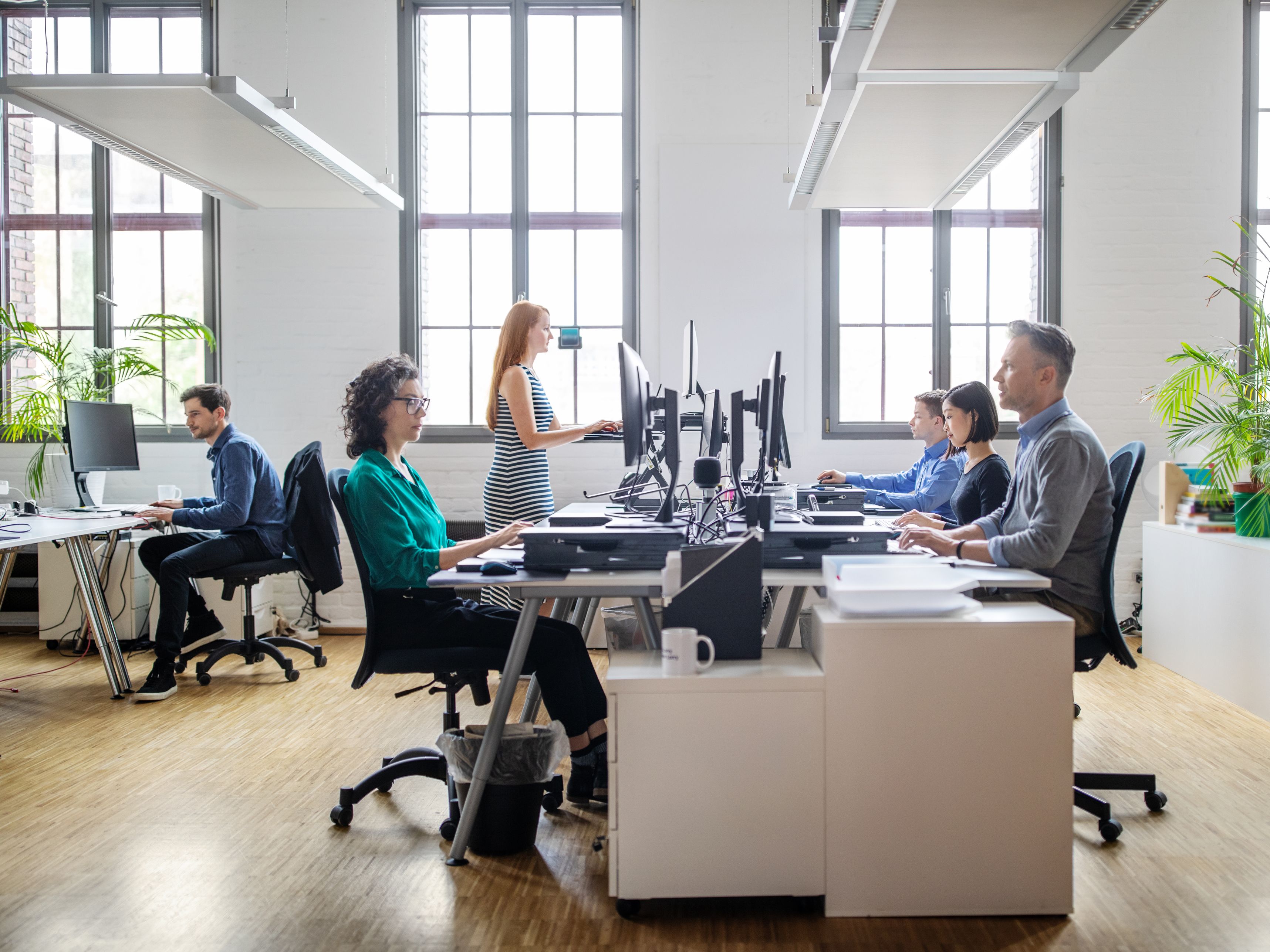Open office shared desks